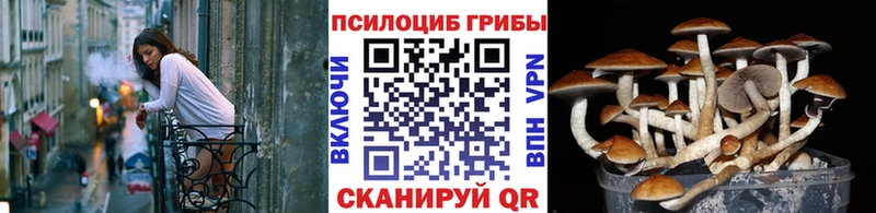 MEGA ТОР  Белореченск  Галлюциногенные грибы мицелий 