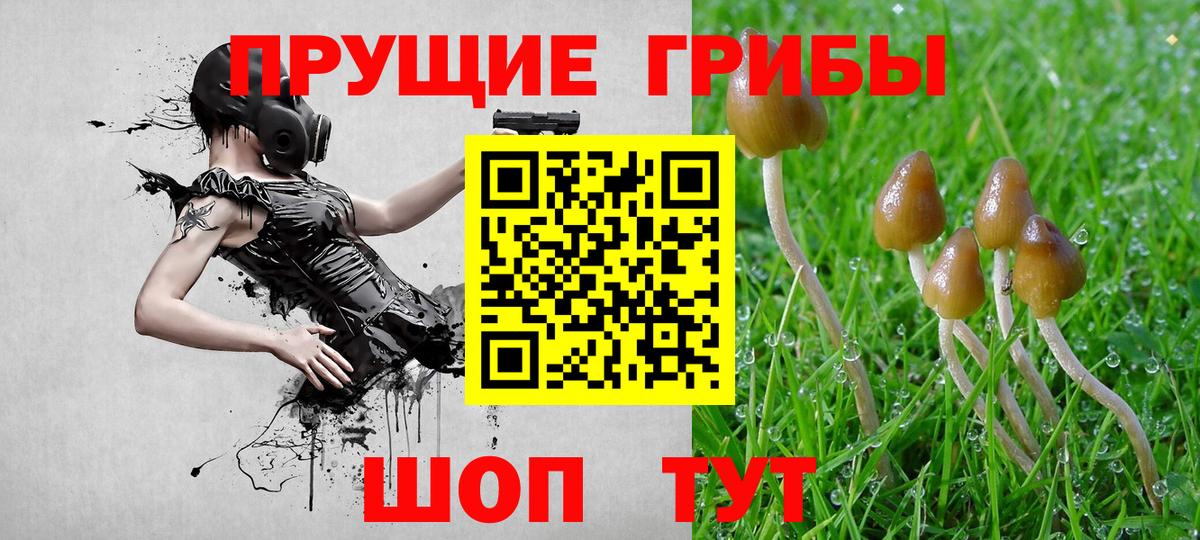 Белореченск  Галлюциногенные грибы Psilocybe  Вход с VPN 