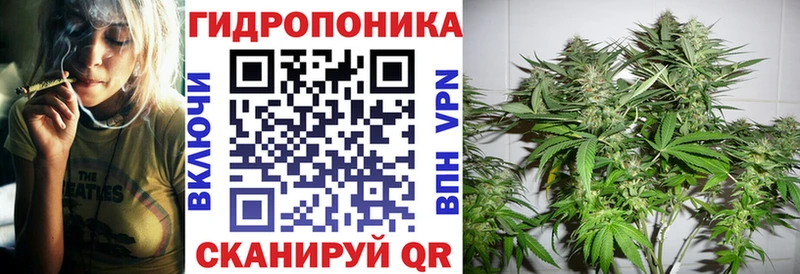Канабис гибрид  мориарти какой сайт  Белореченск  наркота 